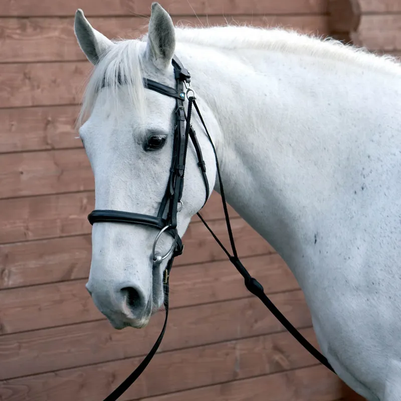 Hy Equestrian Chambon - Black