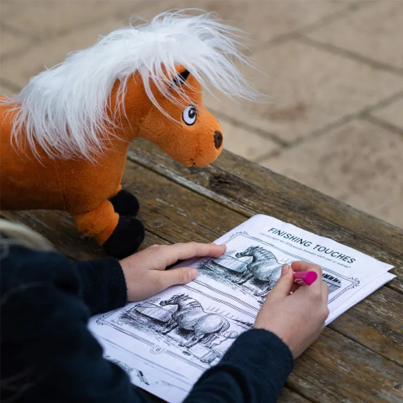 Hy Equestrian Thelwell Ponies-1