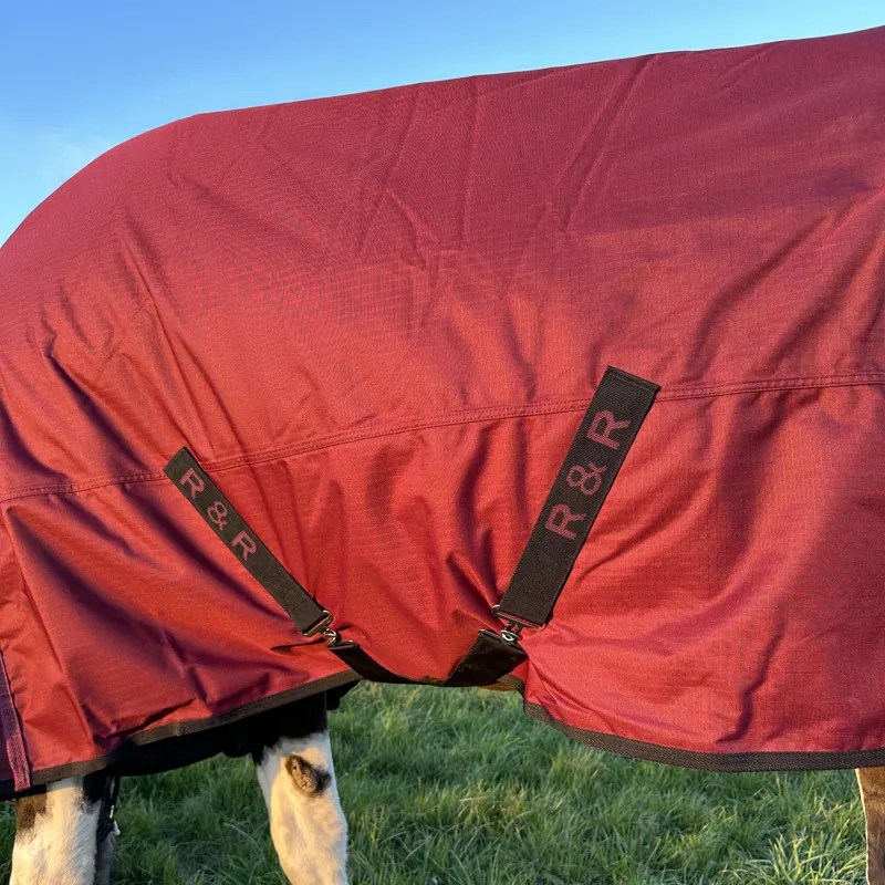 R and R Badminton 200g Turnout Combo Rug-6