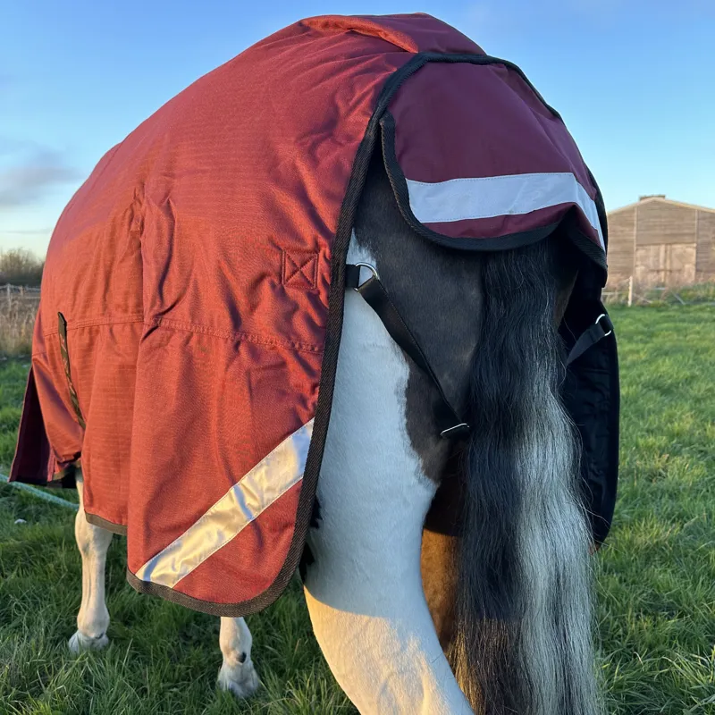 R and R Badminton 200g Turnout Combo Rug-7