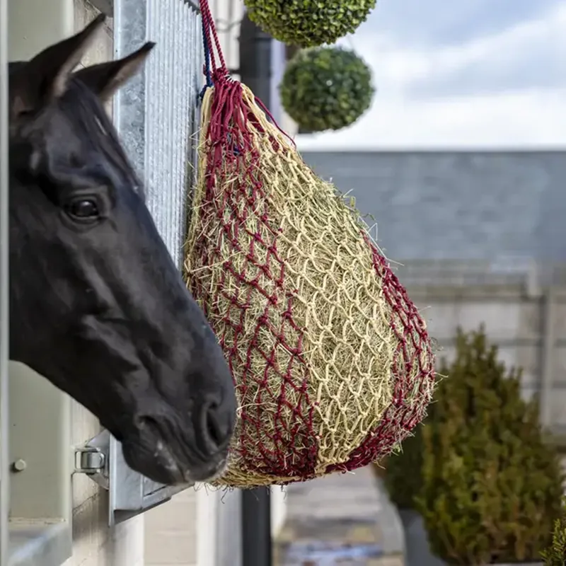 LeMieux Hippo Haynet - Burgundy-1