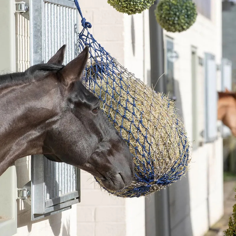 LeMieux Hippo Haynet - Navy-2