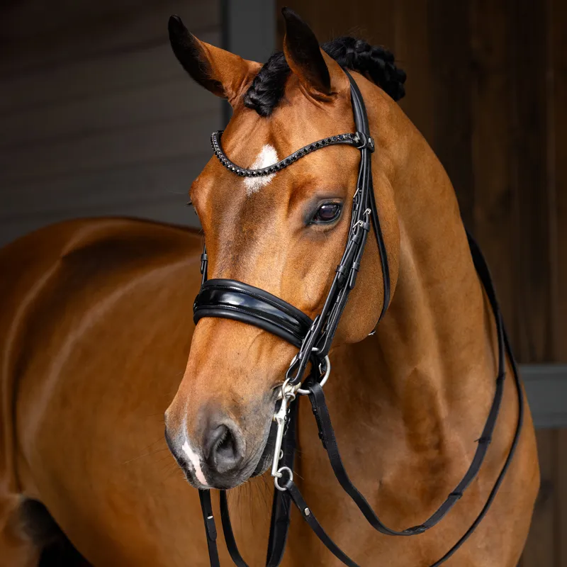 LeMieux Kudos Double Bridle - Black-1