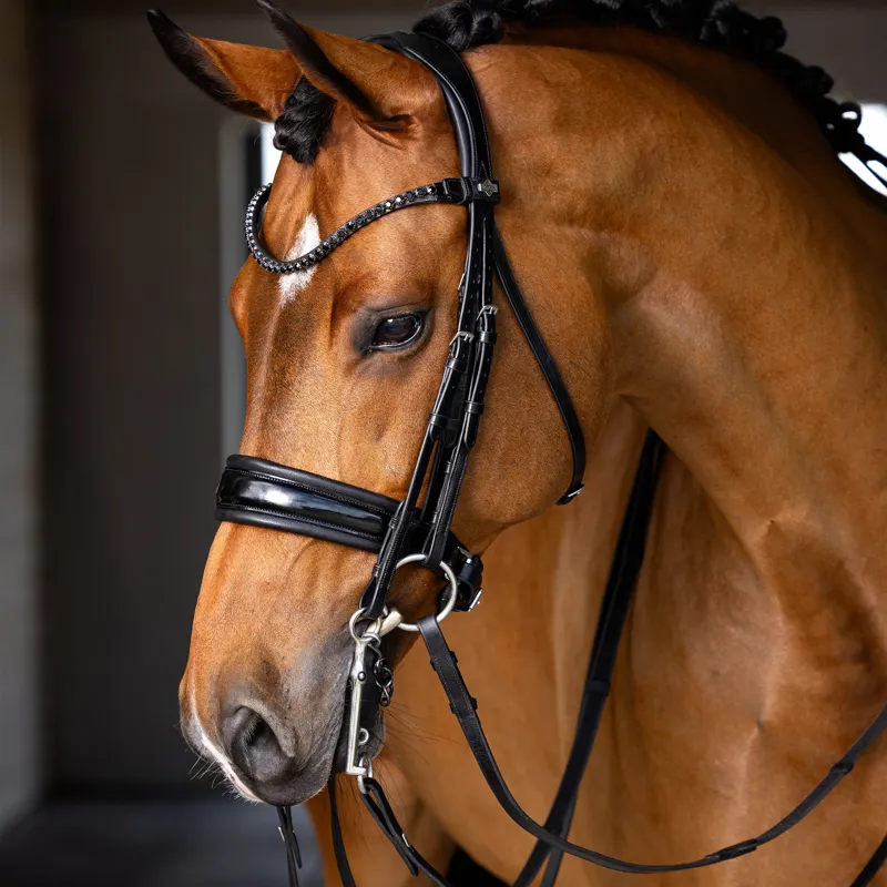 LeMieux Kudos Double Bridle - Black-2