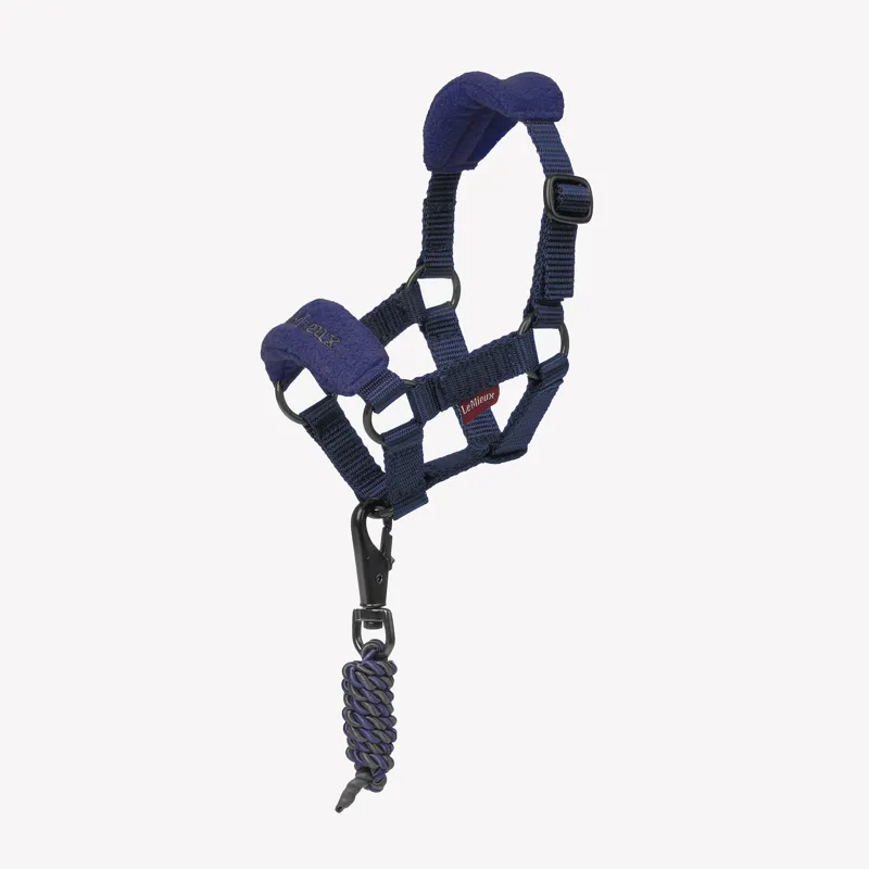 LeMieux Toy Pony Vogue Headcollar - Ink Blue
