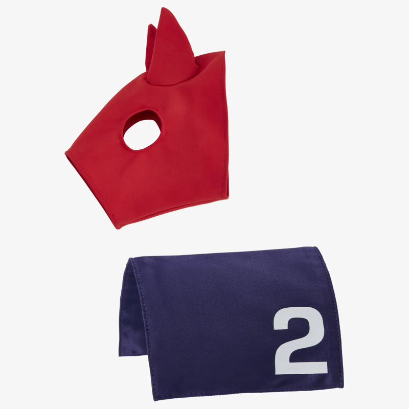 LeMieux Toy Pony Racing Cloth and Hood