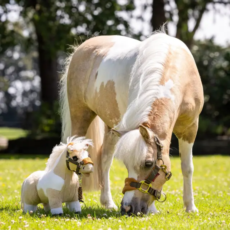 LeMieux Toy Pony - Lemon-4