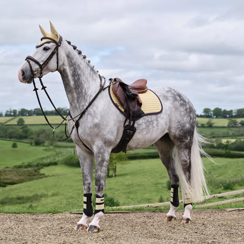 LeMieux Suede Close Contact Square - Mimosa-1