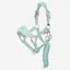 LeMieux Mini Vogue Headcollar and Leadrope - Aqua
