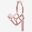 LeMieux Vogue Headcollar and Leadrope - Blossom