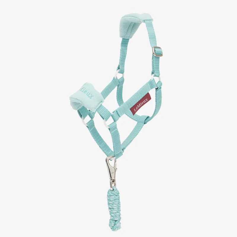 LeMieux Hobby Horse Vogue Headcollar - Lagoon