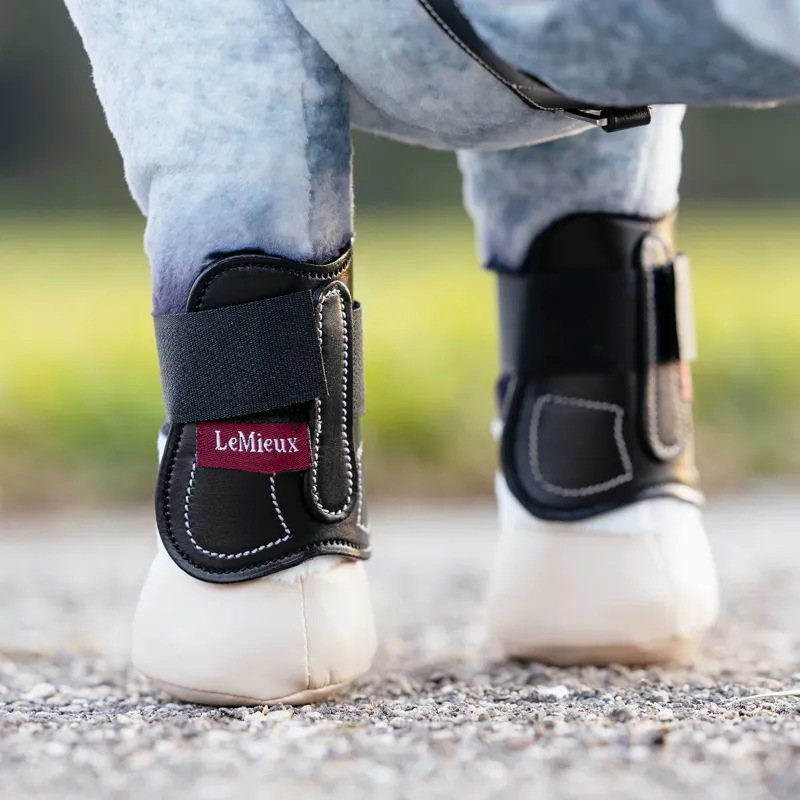 LeMieux Toy Pony Capella Boots - Black-2