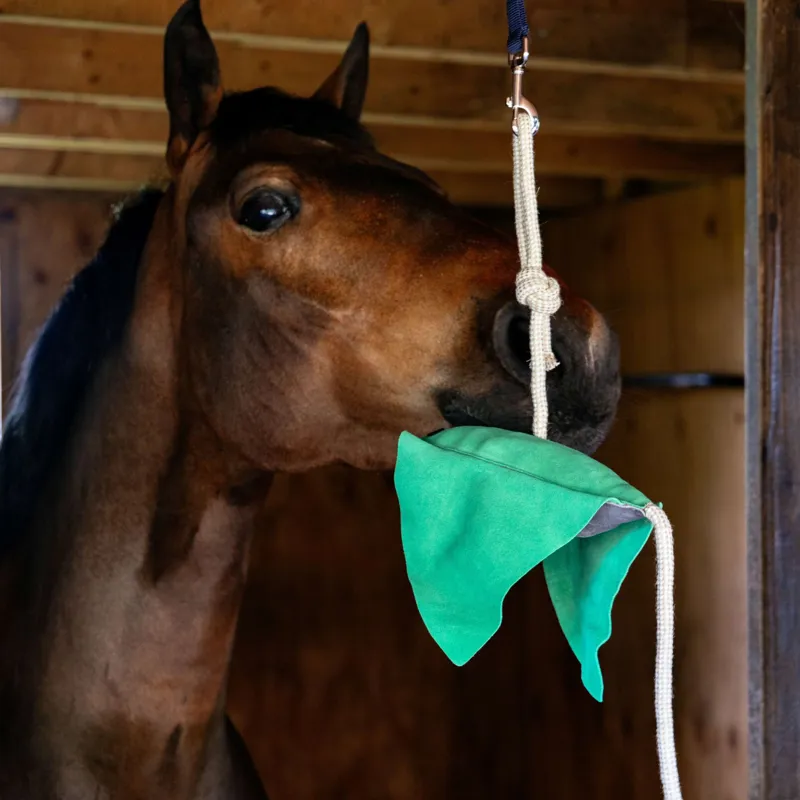 LeMieux Horse Toy - Stingray-3