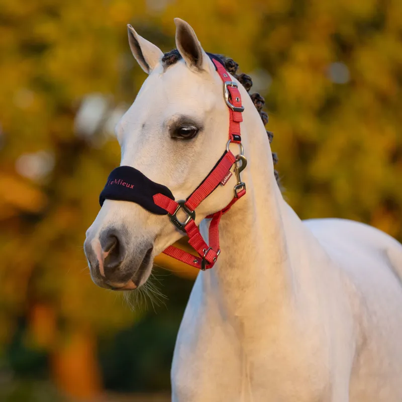 LeMieux Mini Vogue Headcollar and Leadrope - Cranberry-1