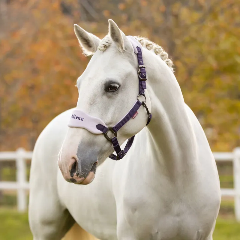 LeMieux Vogue Headcollar and Leadrope - Juniper-1