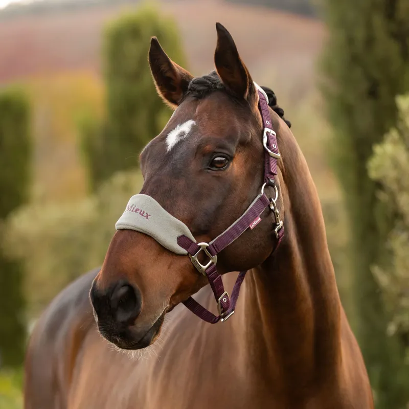 LeMieux Vogue Headcollar and Leadrope - Damson-1