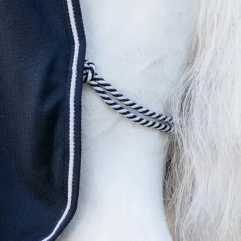 LeMieux Arika DryEase Rug - Navy-3