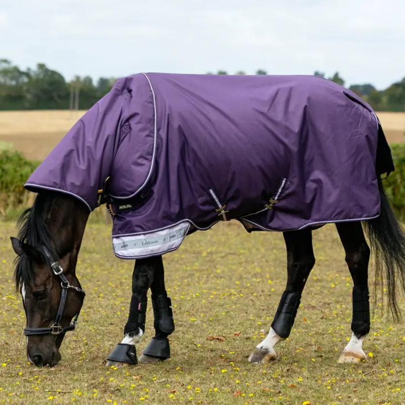 LeMieux Arika Ripstop 0g Turnout Rug - Juniper-1