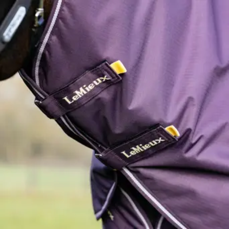 LeMieux Arika Ripstop 200g Turnout Rug - Juniper-4