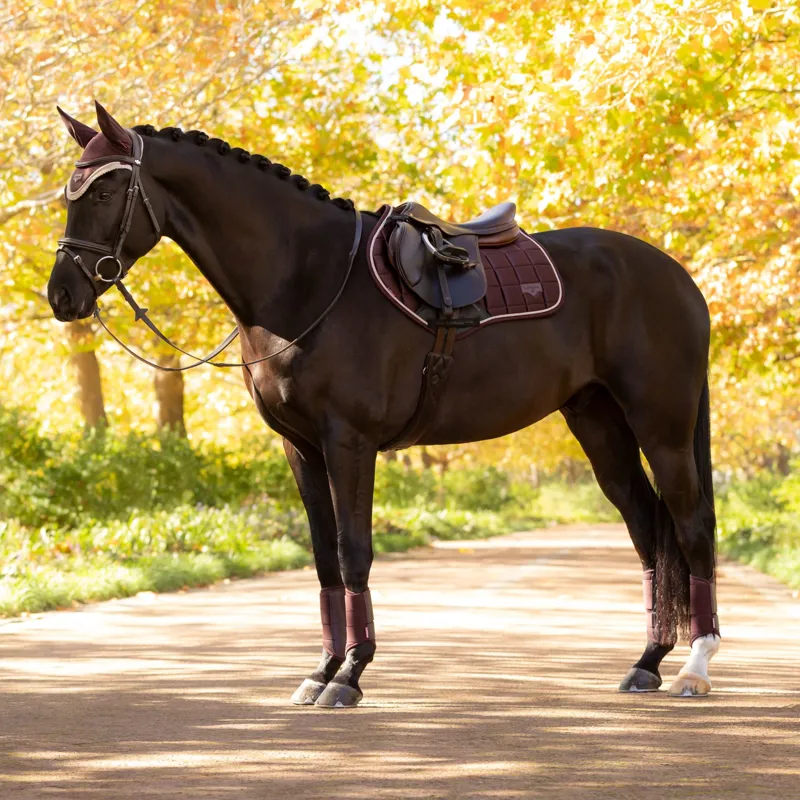 LeMieux Loire Classic Close Contact Square - Damson-1