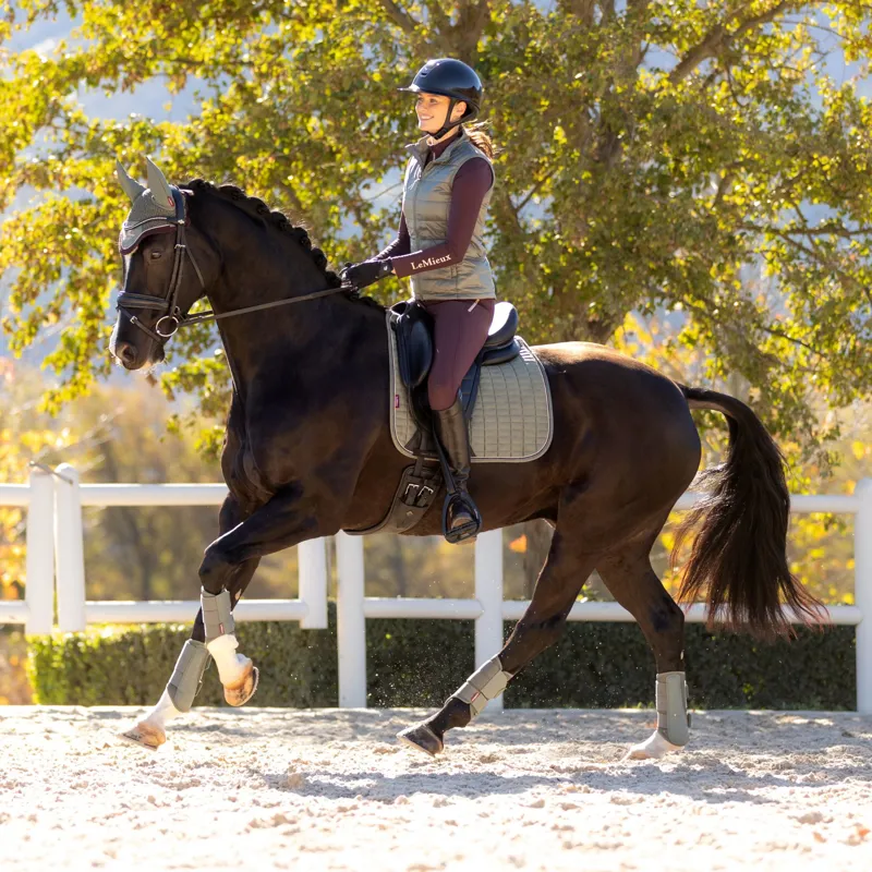 LeMieux Suede Dressage Square - Rosemary-3