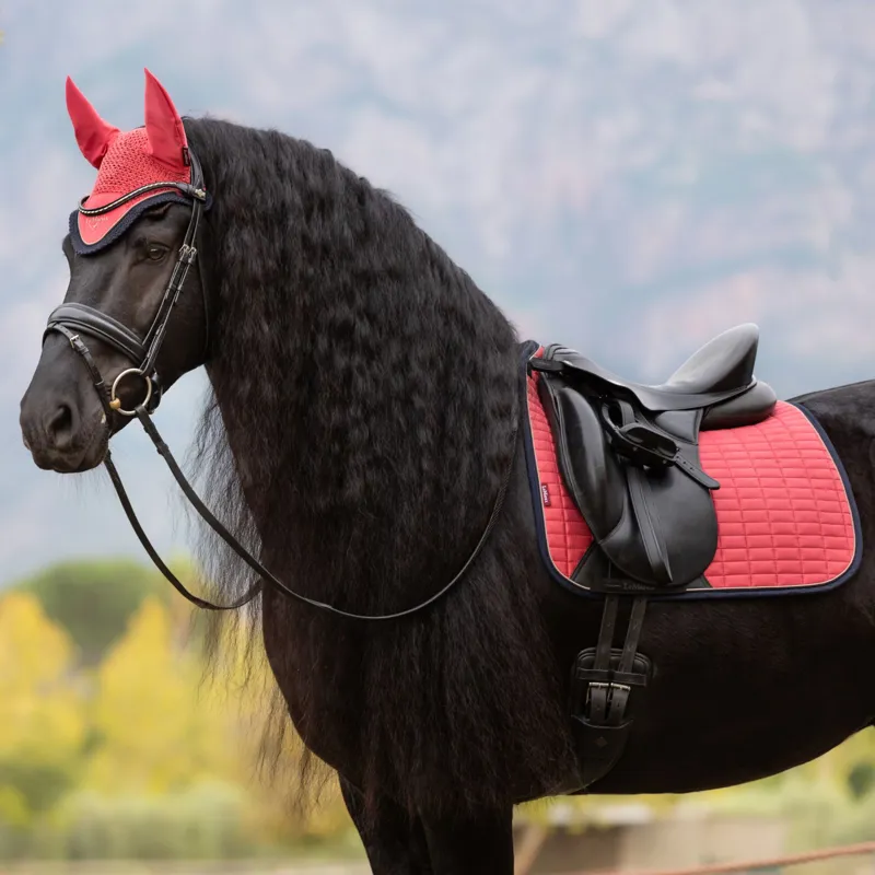 LeMieux Suede Dressage Square - Cranberry-3