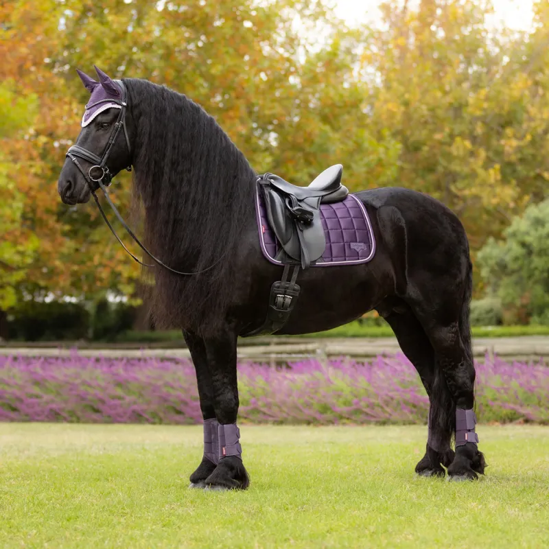 LeMieux Loire Classic Dressage Square - Juniper-2