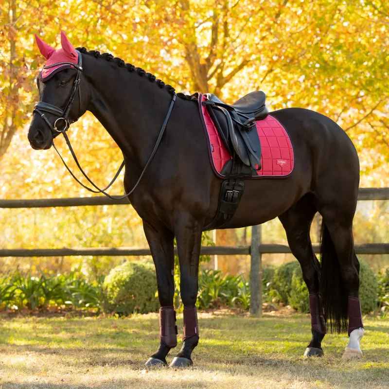 LeMieux Loire Classic Dressage Square - Cranberry-1