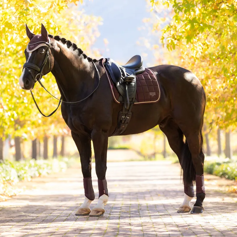 LeMieux Loire Classic Dressage Square - Damson-2