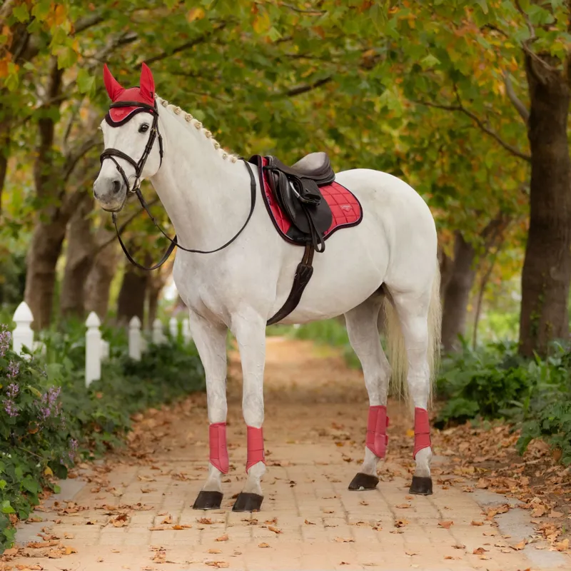 LeMieux Loire Classic GP Square - Cranberry-2