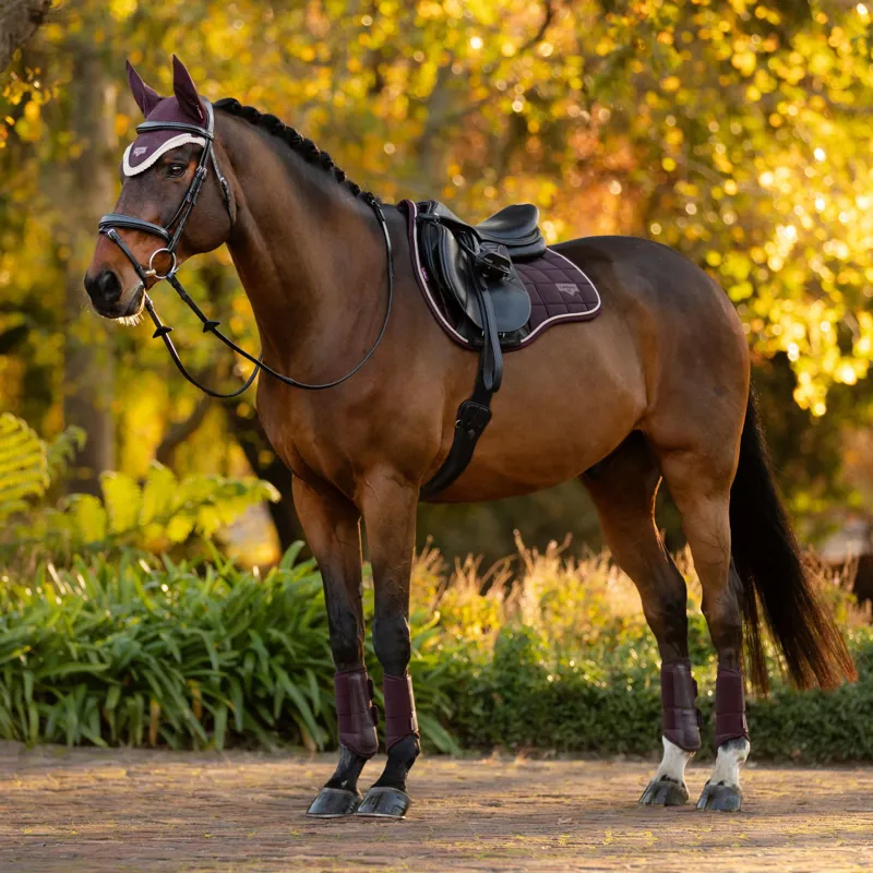 LeMieux Loire Classic GP Square - Damson-2