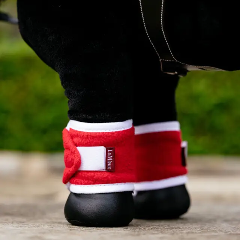 LeMieux Toy Pony Christmas Set - Chilli-2