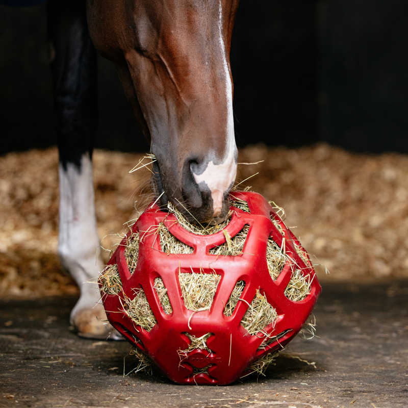 LeMieux Hay Ball - Chilli-3