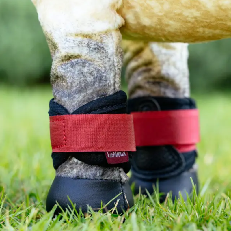 LeMieux Toy Pony Grafter Boots - Chilli-1