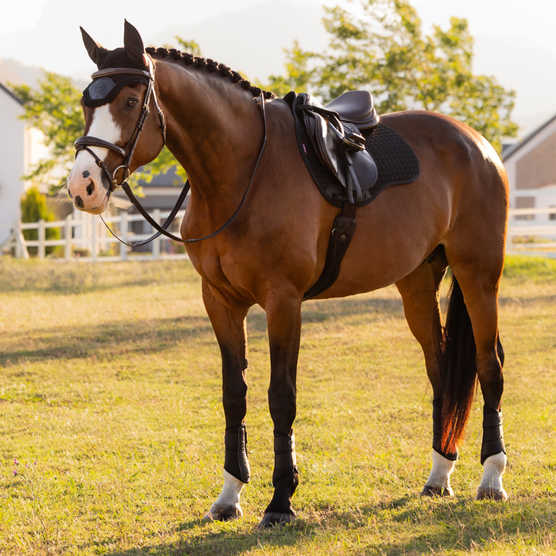 LeMieux Cotton GP Square - Black-3