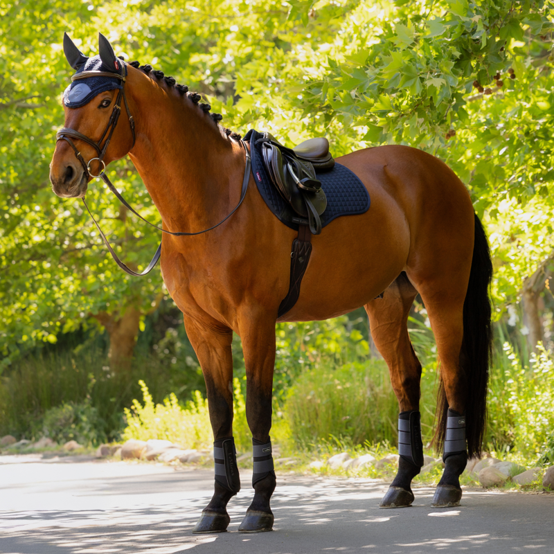 LeMieux Cotton GP Square - Navy-1