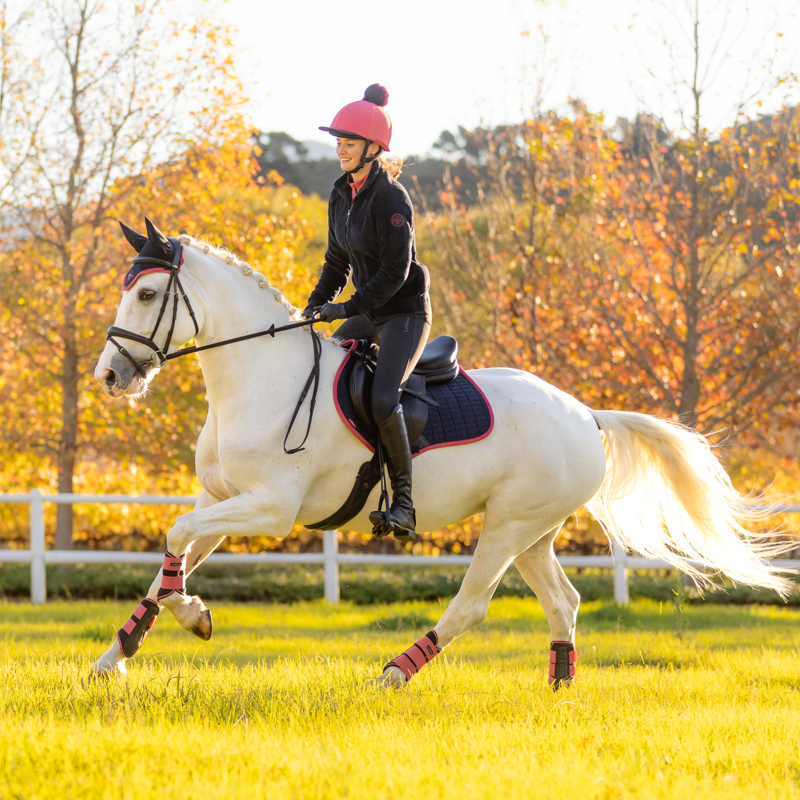 LeMieux Suede Close Contact Square - Navy/Cranberry-1
