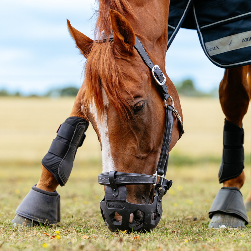 LeMieux Noma Grazing Muzzle - Black-3