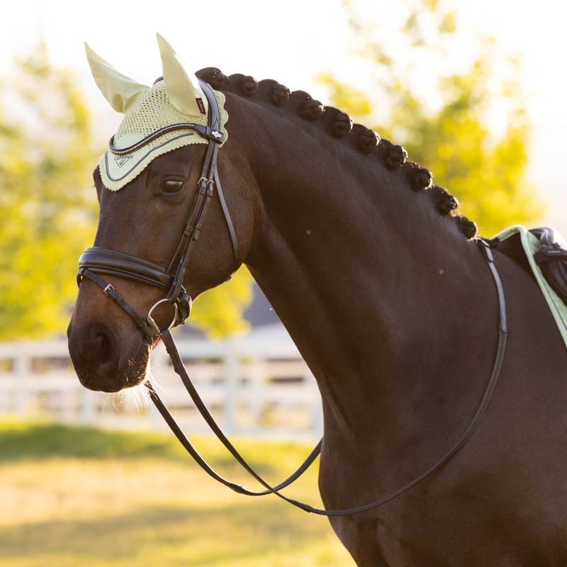 LeMieux Classic Fly Hood - Macaron-1