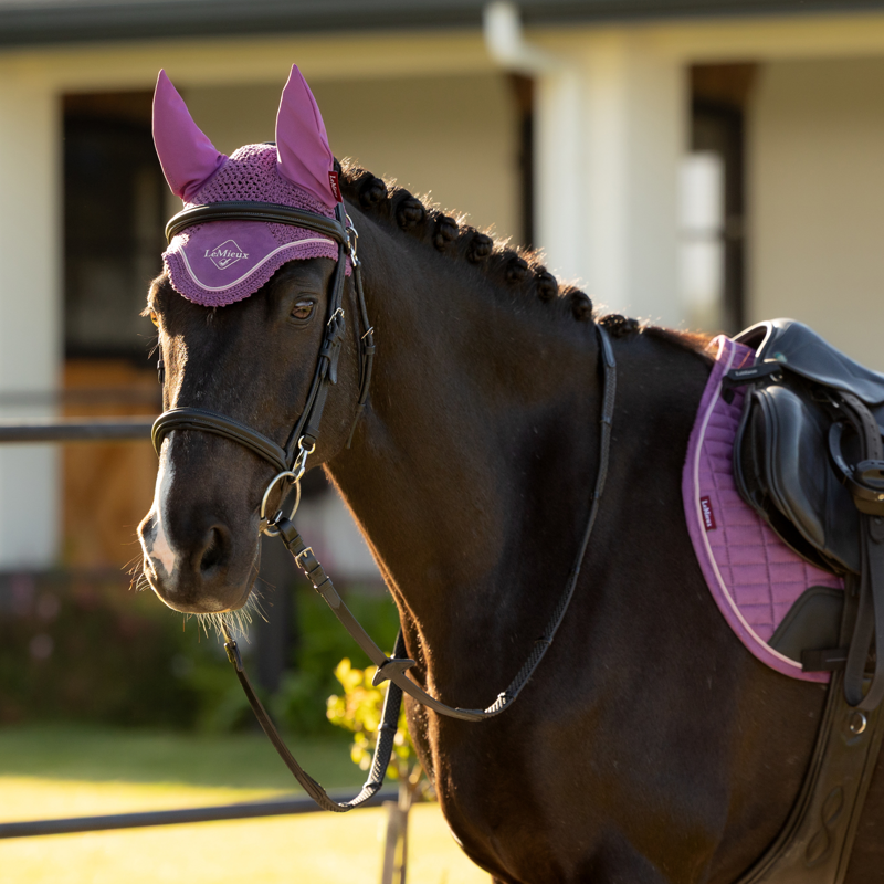 LeMieux Classic Fly Hood - Mallow-1