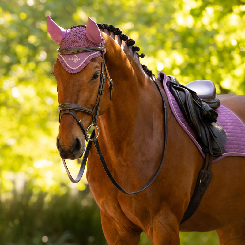 LeMieux Classic Fly Hood - Mallow-3