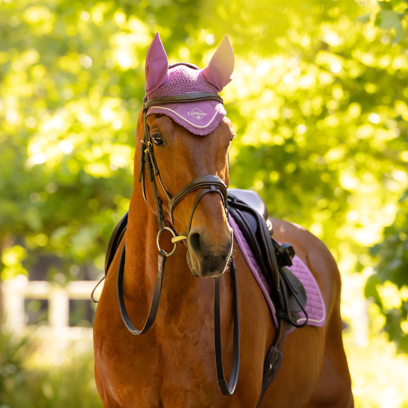 LeMieux Classic Fly Hood - Mallow-4