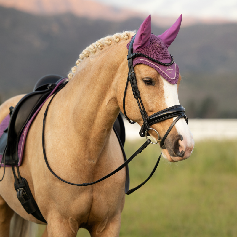 LeMieux Classic Fly Hood - Mallow-6