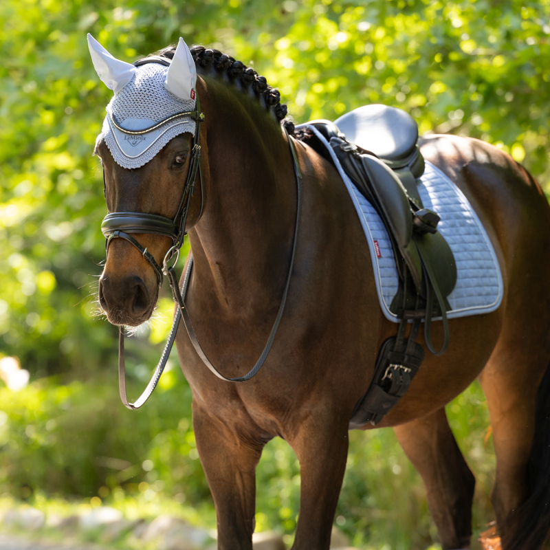 LeMieux Classic Fly Hood - Powder Blue-2