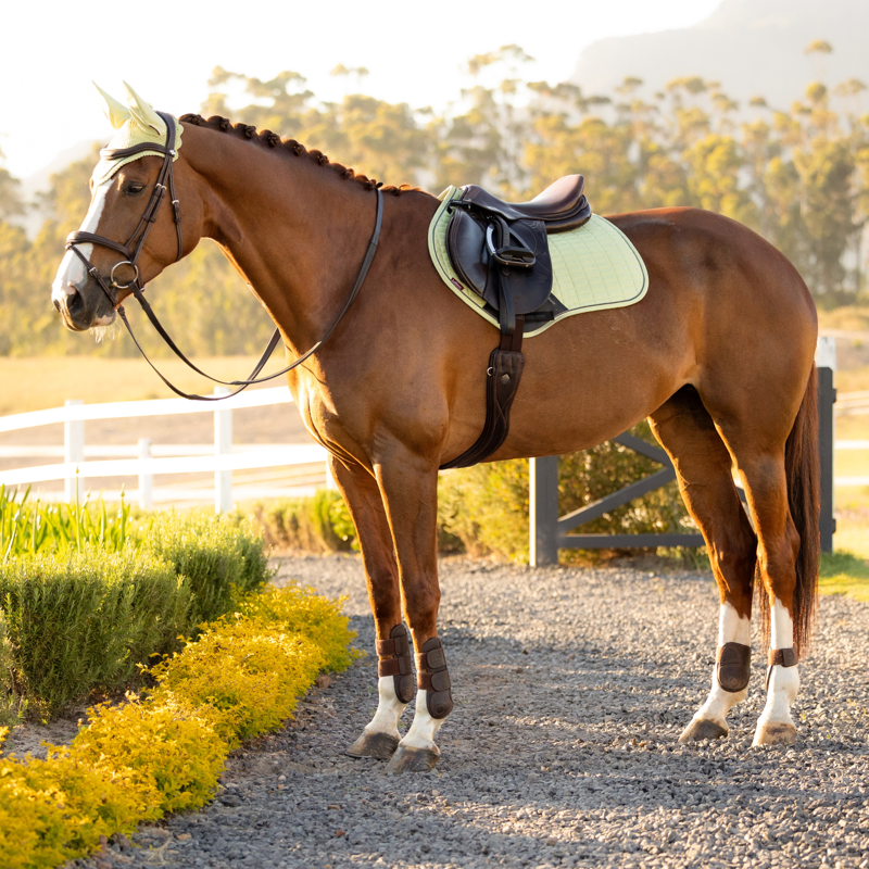 LeMieux Suede Close Contact Square - Macaron-1