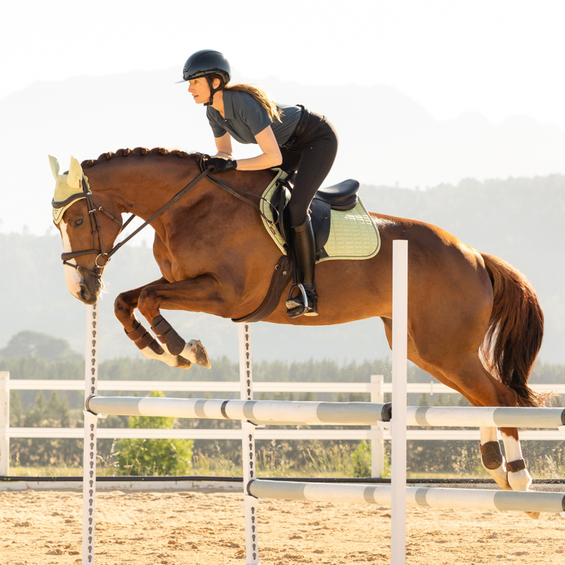 LeMieux Suede Close Contact Square - Macaron-2