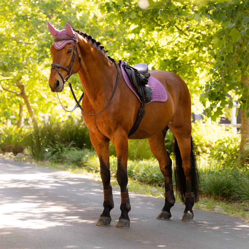 LeMieux Suede Close Contact Square - Mallow-3