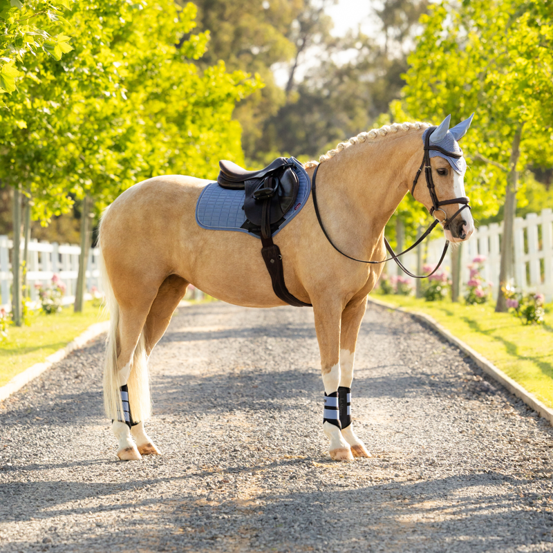 LeMieux Suede Close Contact Square - Powder Blue-1