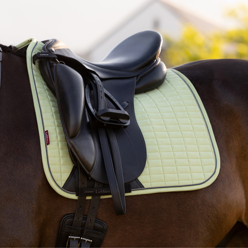 LeMieux Suede Dressage Square - Macaron-2