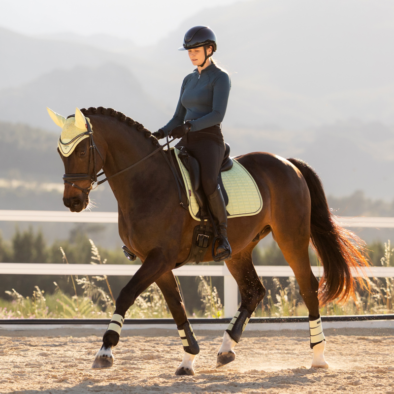 LeMieux Suede Dressage Square - Macaron-3